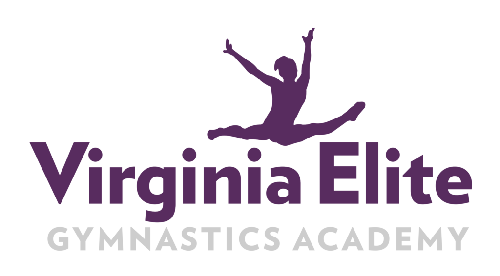 Virginia Elite Gymnastics Academy - Wisc