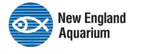New England Aquarium