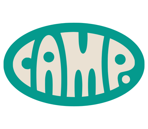 Camp NYC - Washington D.C.